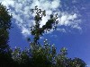 08_2009.jpg