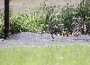 6486_02.JPG
