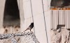 6492_02.JPG