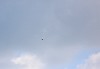 6503_02.JPG